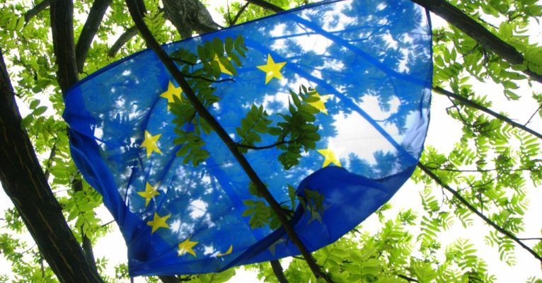 EU flag in trees by Niccolo Caranti