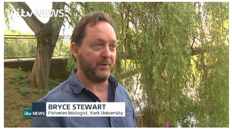 Bryce Stewart interview ITV