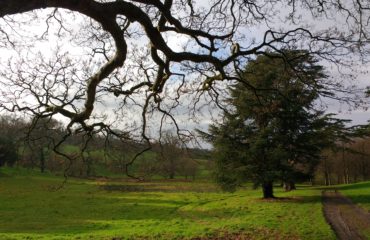 Northern Irish countryside