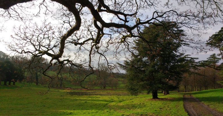 Northern Irish countryside