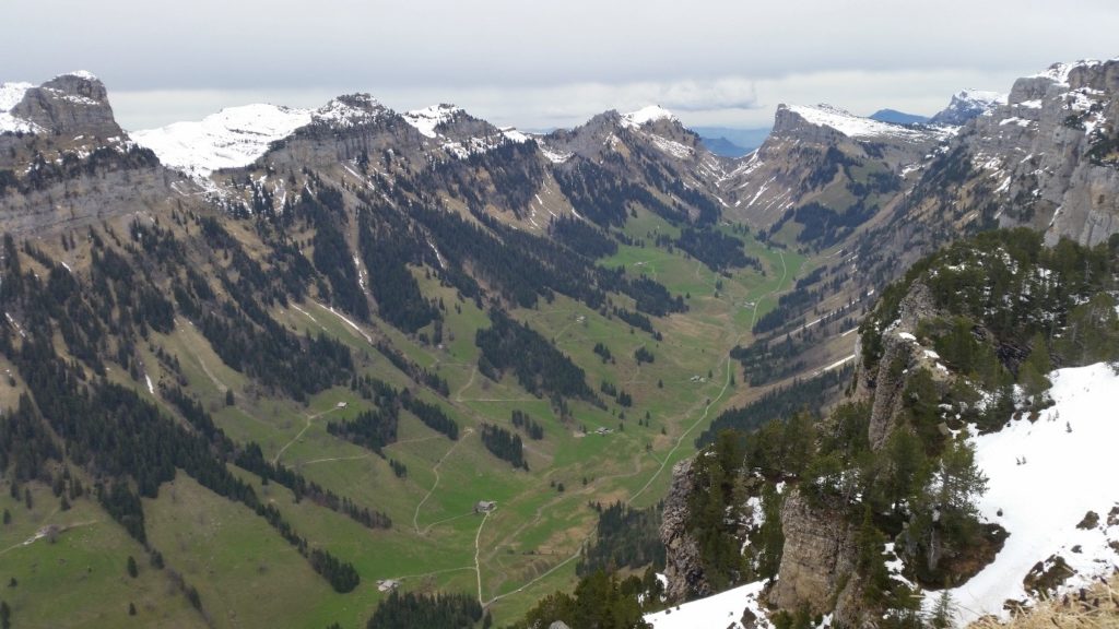 Swiss mountains with fields