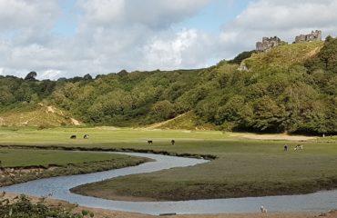 river crossing field and forest