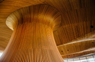 Interior shot of Senedd Cymru