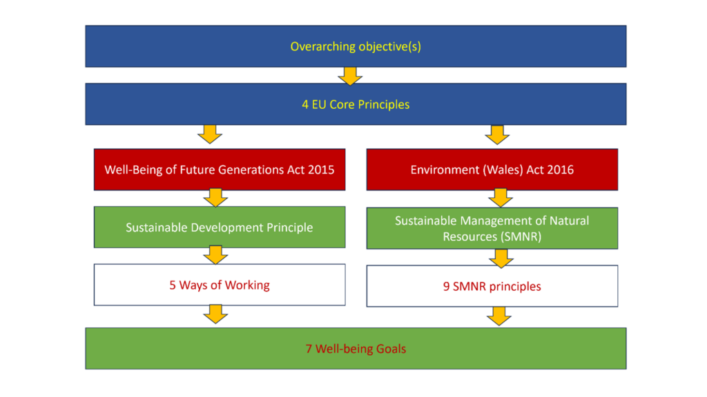 How EU and Welsh principles interact - according to Environmental Governance Stakeholder task group. Overarching objective underpins EU core principles, which are themselves overar(ching over both Environment (Wales) Act and Well-Being of Future Generation Act and their respective Welsh domestic environmental principles. 